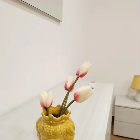 Momaliar House Holiday home *