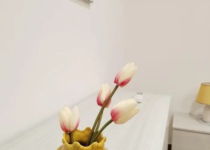 Momaliar House Feriehus *